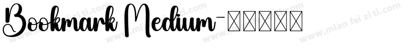 Bookmark Medium字体转换